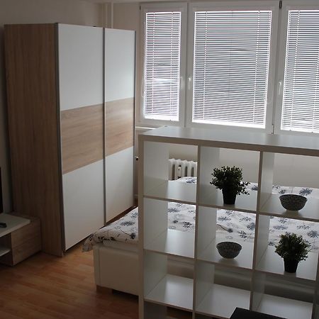 Viktorie Appartement Frýdek-Místek Buitenkant foto
