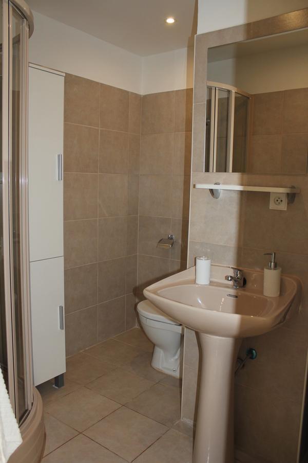 Viktorie Appartement Frýdek-Místek Buitenkant foto